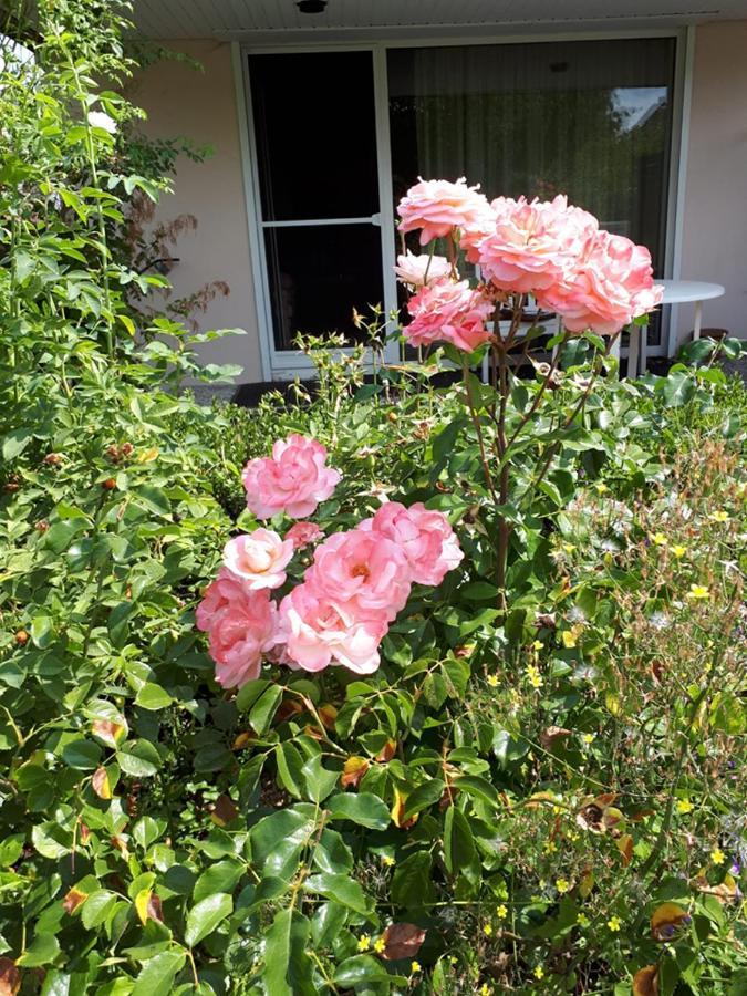 Entire House, Quiet City Location, Garden, Parking Bielefeld Eksteriør billede